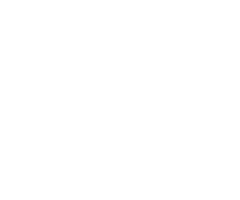 Казахская моторная компания «Астана Моторс»